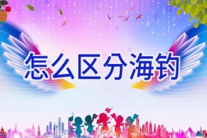 怎么区分海钓