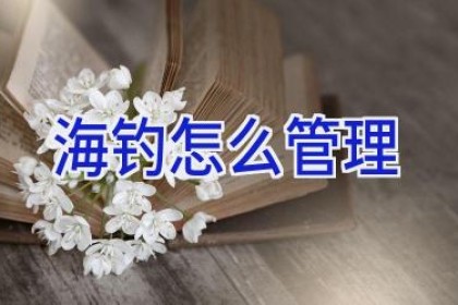 海钓怎么管理