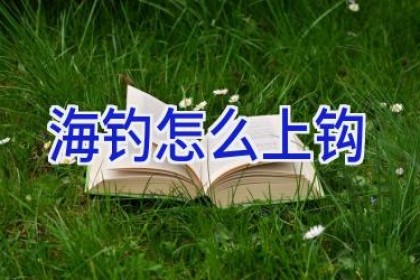 海钓怎么上钩