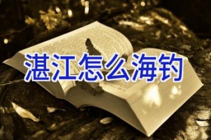 湛江怎么海钓