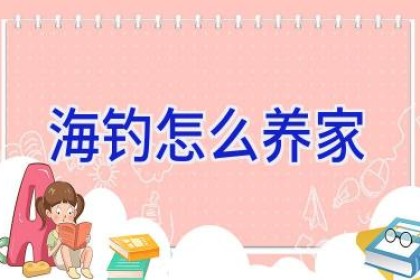 海钓怎么养家
