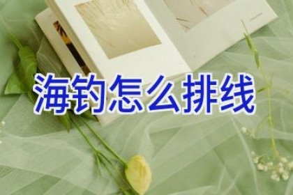 海钓怎么排线