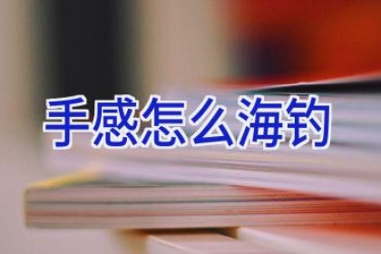 手感怎么海钓