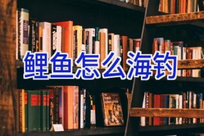 鲤鱼怎么海钓