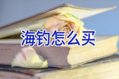 海钓怎么买