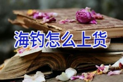 海钓怎么上货
