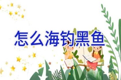 怎么海钓黑鱼