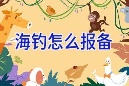 海钓怎么报备
