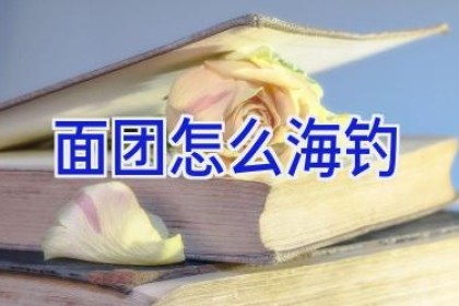 面团怎么海钓