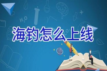 海钓怎么上线