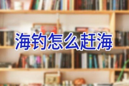 海钓怎么赶海