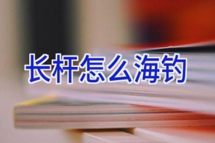 长杆怎么海钓