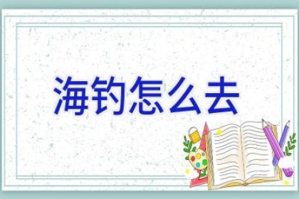 海钓怎么去