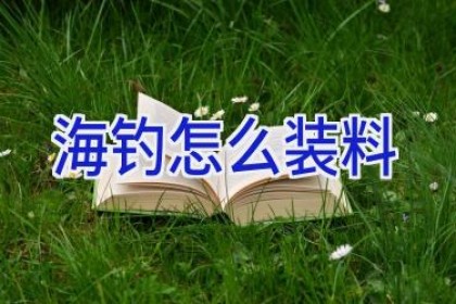 海钓怎么装料