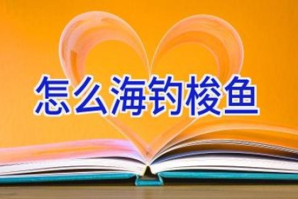 怎么海钓梭鱼