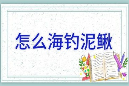 怎么海钓泥鳅