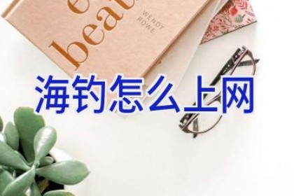 海钓怎么上网