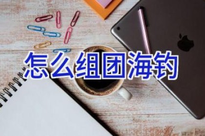 怎么组团海钓
