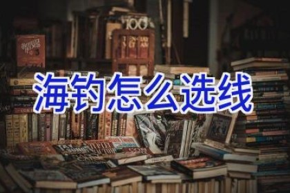 海钓怎么选线