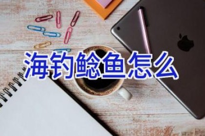 海钓鲶鱼怎么
