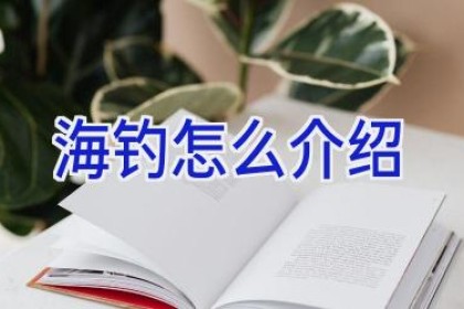 海钓怎么介绍