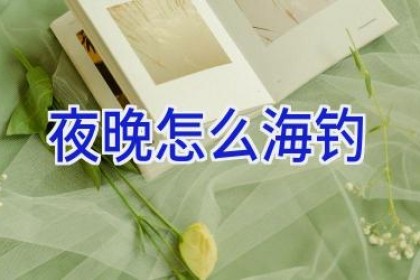 夜晚怎么海钓