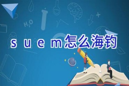 suem怎么海钓