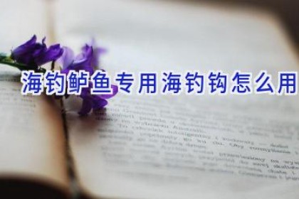 海钓鲈鱼专用海钓钩怎么用