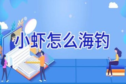 小虾怎么海钓