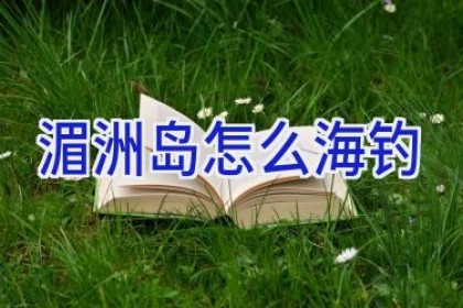 湄洲岛怎么海钓