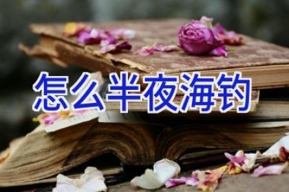 怎么半夜海钓