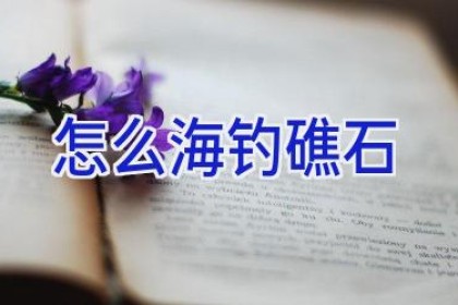 怎么海钓礁石