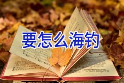要怎么海钓