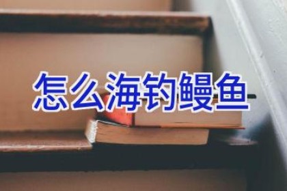 怎么海钓鳗鱼