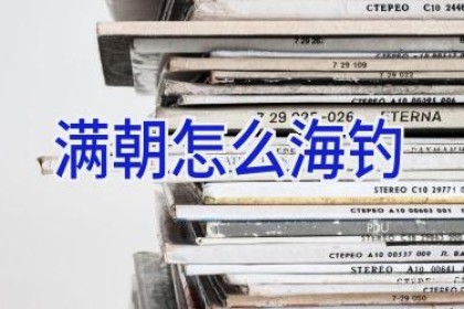 满朝怎么海钓