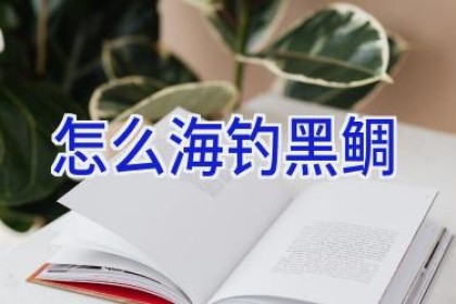 怎么海钓黑鲷
