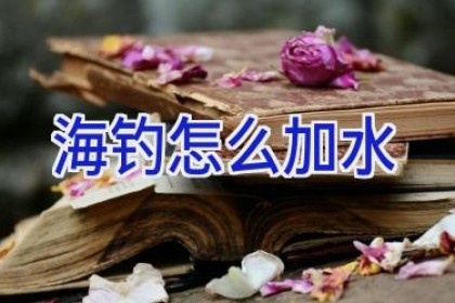 海钓怎么加水