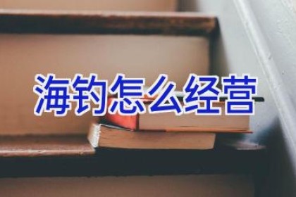 海钓怎么经营