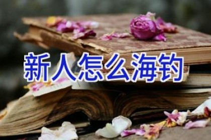 新人怎么海钓