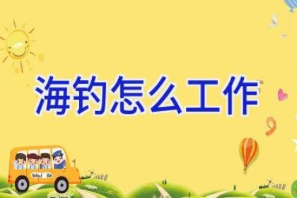 海钓怎么工作