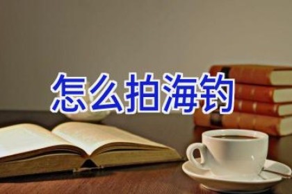 怎么拍海钓