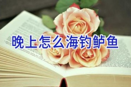 晚上怎么海钓鲈鱼