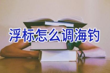 浮标怎么调海钓