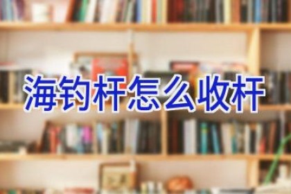 海钓杆怎么收杆