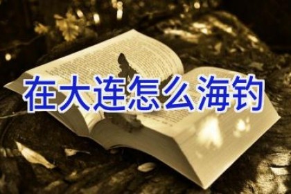 在大连怎么海钓