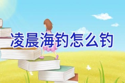 凌晨海钓怎么钓