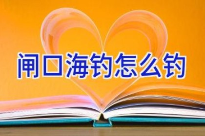 闸口海钓怎么钓