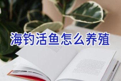 海钓活鱼怎么养殖