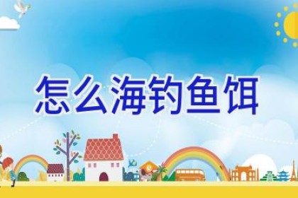 怎么海钓鱼饵