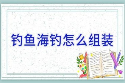 钓鱼海钓怎么组装